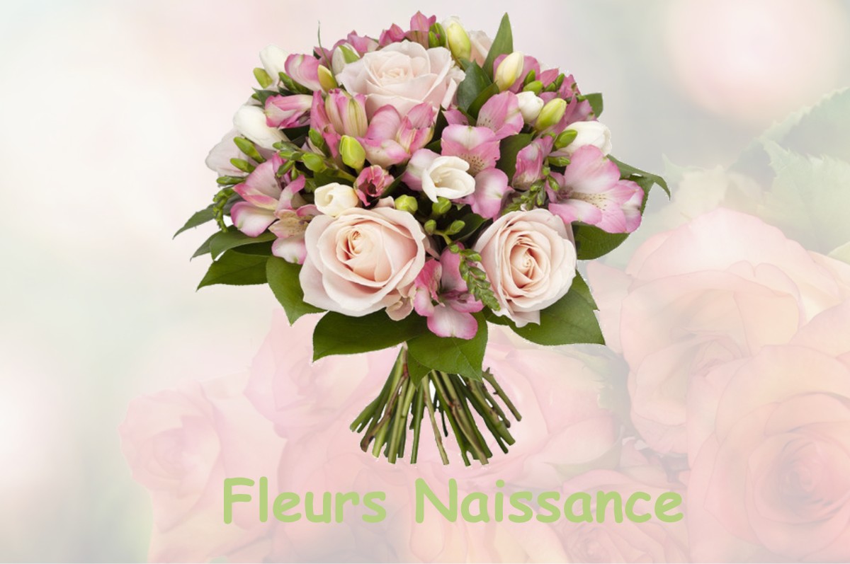 fleurs naissance VEILLEINS