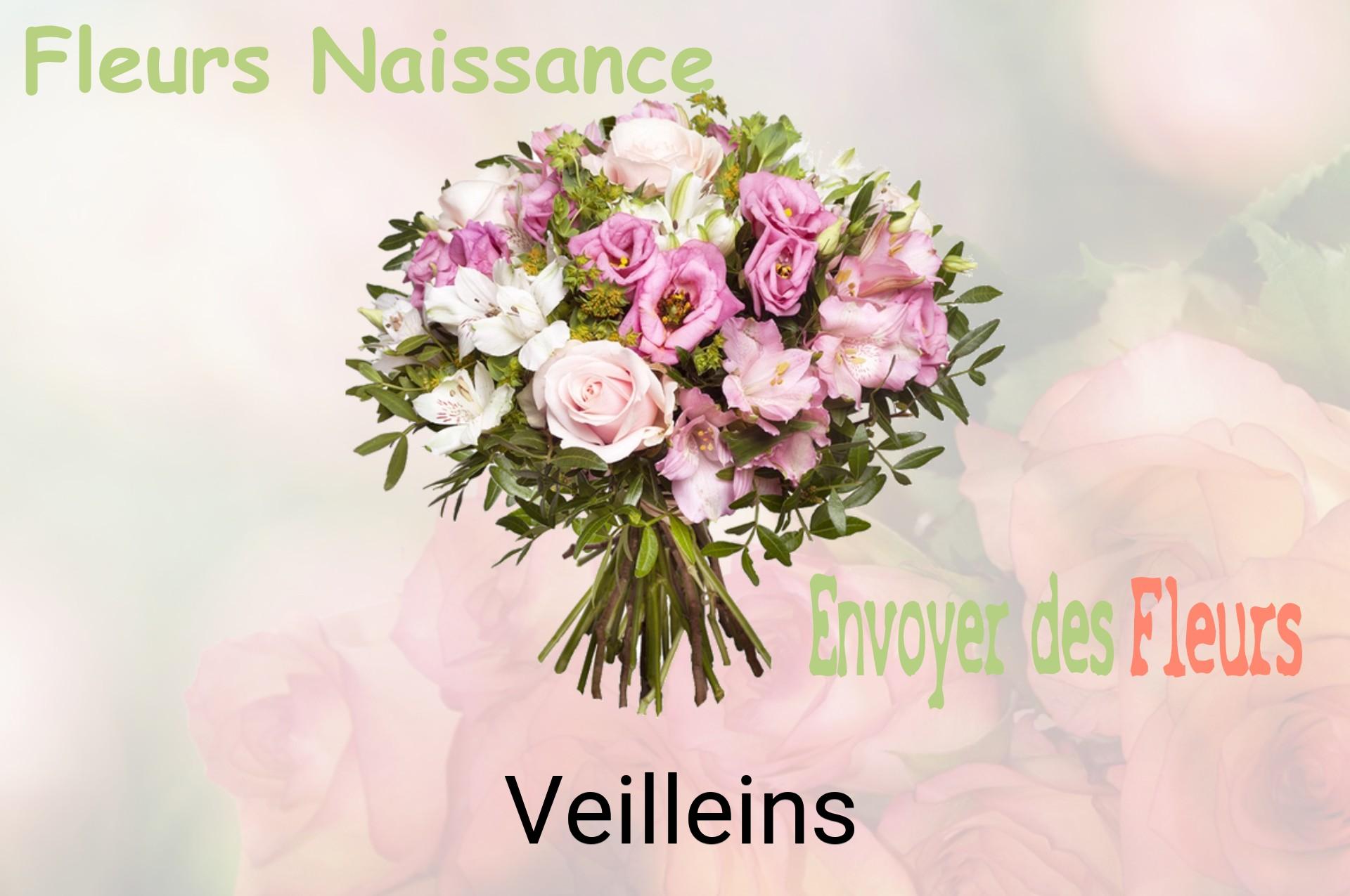 Bouquet de fleurs de naissance livré à Veilleins