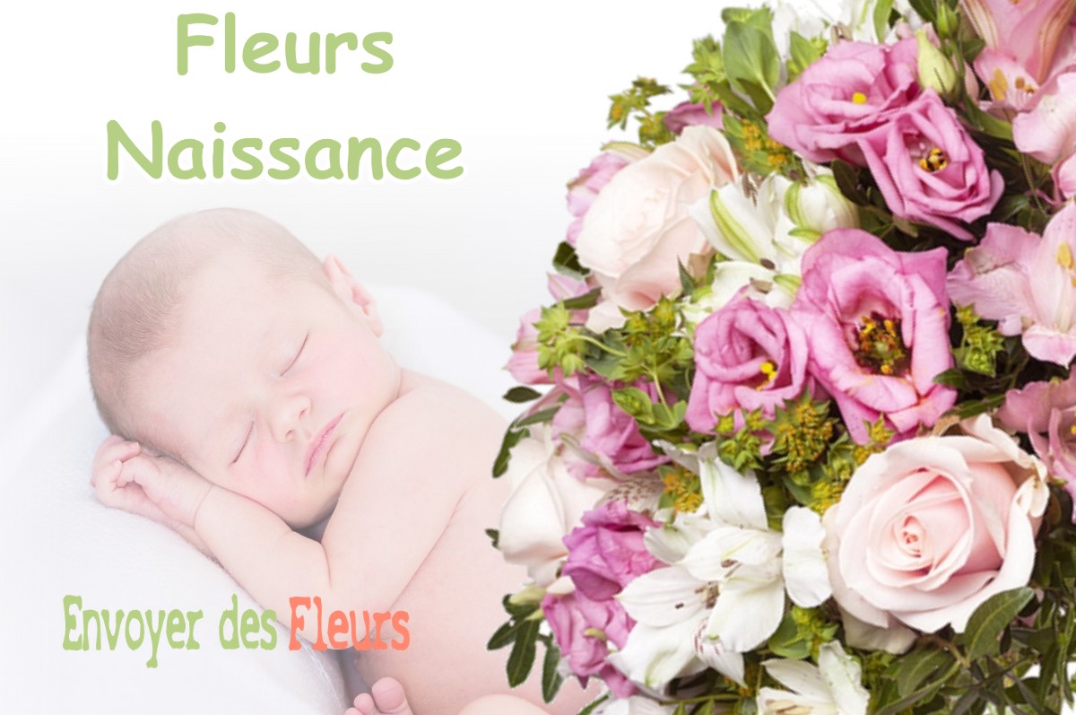 lIVRAISON FLEURS NAISSANCE à VEILLEINS