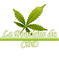 LA BOUTIQUE DU CBD VEILLEINS 